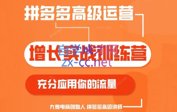 大麦老师·拼多多单品爆款打造课程(更新6月)-爱找项目网