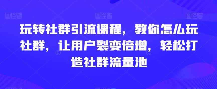 玩转社群引流课程，教你怎么玩社群，让用户裂变倍增，轻松打造社群流量池-爱找项目网