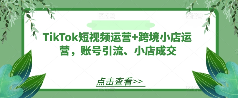 TikTok短视频运营+跨境小店运营，账号引流、小店成交-爱找项目网