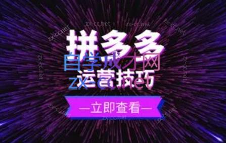 力辛电商·拼多多强付费店群玩法-爱找项目网