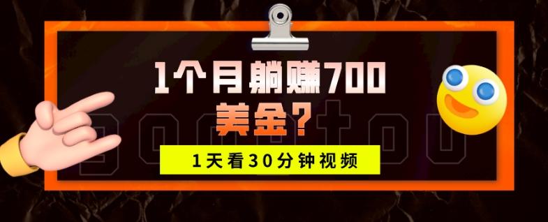 1天看30分钟视频，1个月躺赚700美金？-爱找项目网