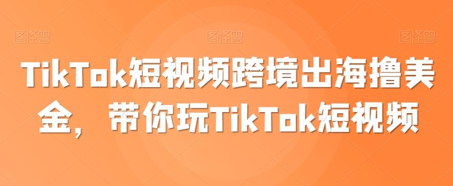 TikTok短视频跨境出海撸美金，带你玩TikTok短视频-爱找项目网