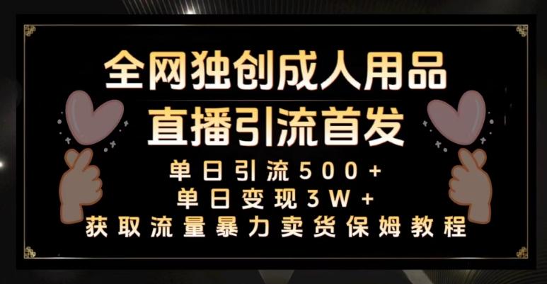 全网独创真人主播+无人直播单日引流500+，橙人用品暴力卖货单日变现3W+保姆似教学2.0【揭秘】-爱找项目网