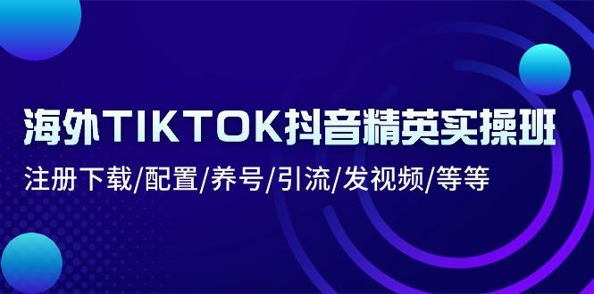 海外TIKTOK抖音精英实操班：注册下载/配置/养号/引流/发视频/等等-爱找项目网
