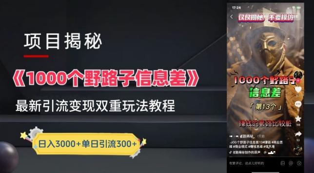 一千个野路子信息差最新玩法教程-变现+引流的玩法具体拆解【揭秘】-爱找项目网