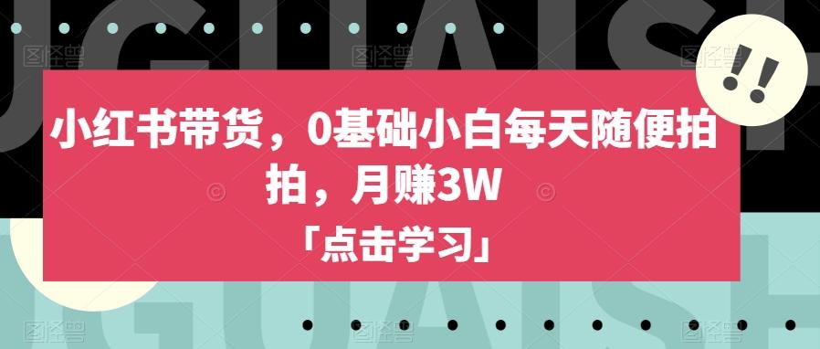 小红书带货，0基础小白每天随便拍拍，月赚3W【揭秘】-爱找项目网