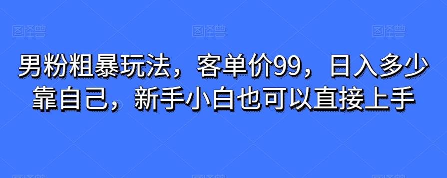 男粉粗暴玩法，客单价99，日入多少靠自己，新手小白也可以直接上手-爱找项目网