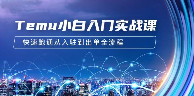 (9295期)Temu小白入门实战课：跨境拼多多电商培训 快速跑通从入驻到出单全流程-12节-爱找项目网