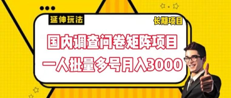 国内调查问卷矩阵项目，一人批量多号月入3000【揭秘】-爱找项目网