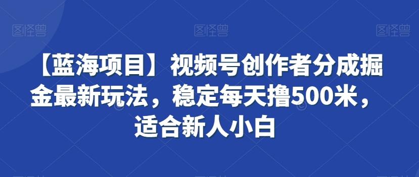 【蓝海项目】视频号创作者分成掘金最新玩法，稳定每天撸500米，适合新人小白【揭秘】-爱找项目网