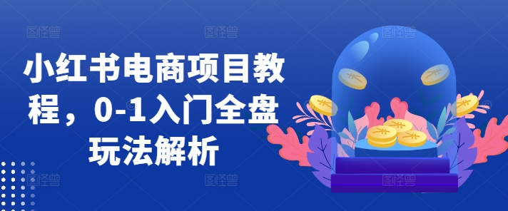 小红书电商项目教程，0-1入门全盘玩法解析-爱找项目网