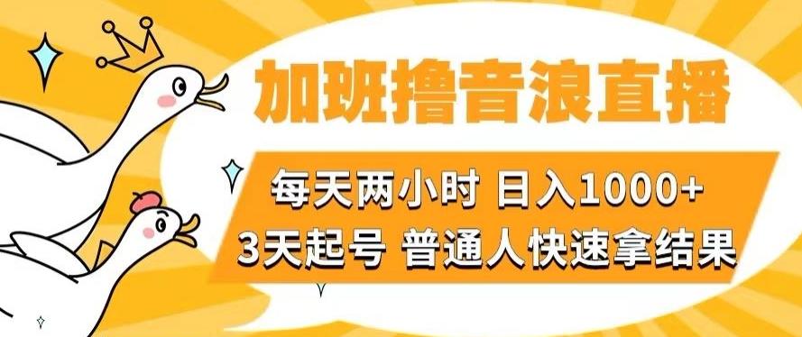 加班撸音浪直播，每天两小时，日入1000+，直播话术才3句，3天起号，普通人快速拿结果【揭秘】-爱找项目网