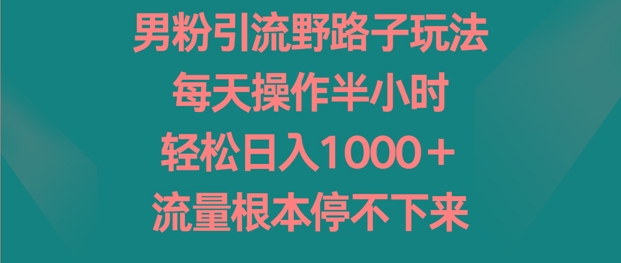 男粉引流野路子玩法，每天操作半小时轻松日入1000＋，流量根本停不下来-爱找项目网