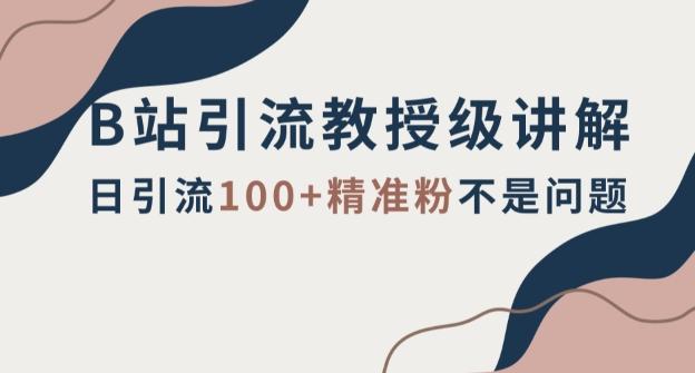 B站引流教授级讲解，细节满满，日引流100+精准粉不是问题【揭秘】-爱找项目网