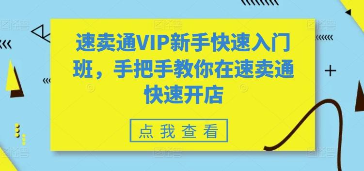 速卖通VIP新手快速入门班，手把手教你在速卖通快速开店-爱找项目网