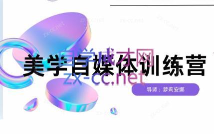 安娜·美学自媒体IP系统课-爱找项目网