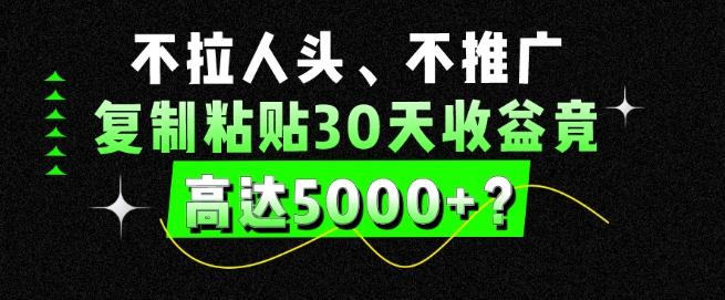 不拉人头、不推广，复制粘贴30天收益竟高达5000+？-爱找项目网