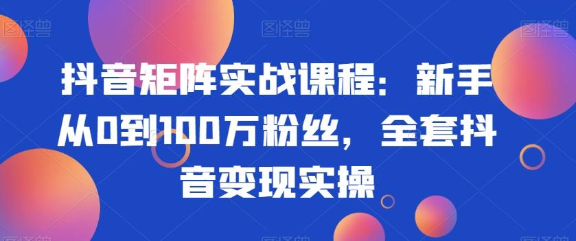 抖音矩阵实战课程：新手从0到100万粉丝，全套抖音变现实操-爱找项目网