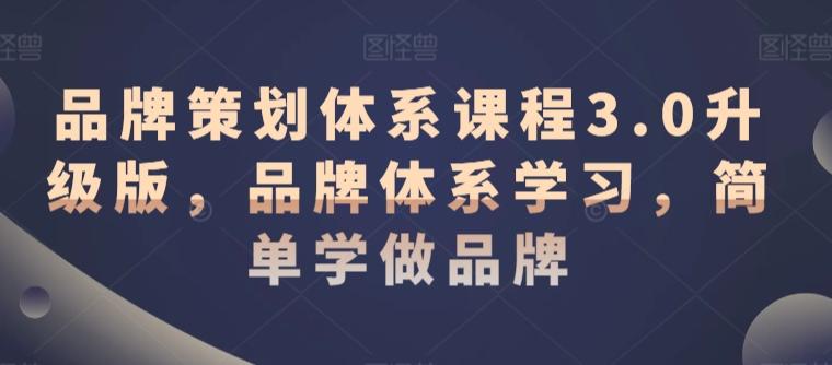 品牌策划体系课程3.0升级版，品牌体系学习，简单学做品牌-爱找项目网