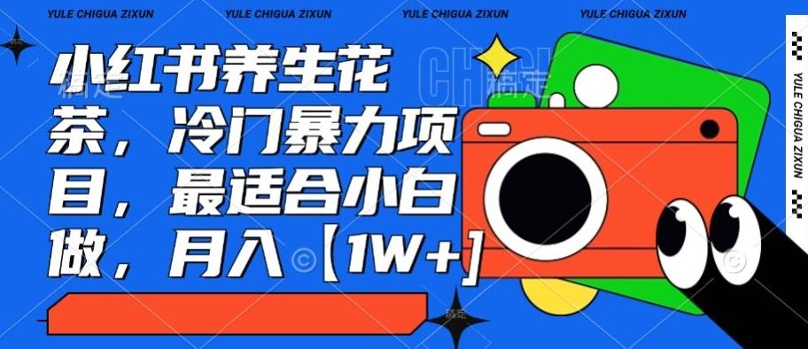 小红书养生花茶，冷门暴力项目，最适合小白做，月入【1W+】-爱找项目网