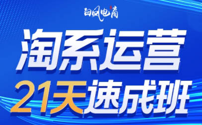 淘系运营21天速成班(更新9月)-爱找项目网
