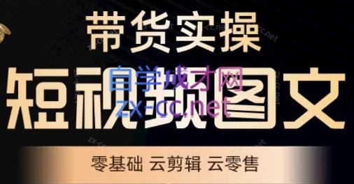 鑫哥·2024零基础短视频带货实操营-爱找项目网