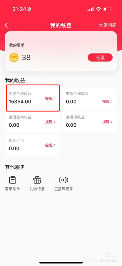 热门评论引爆小红书流量，作品制作简单，广告接到手软，月入过万不是梦-爱找项目网