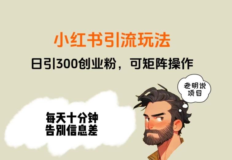 靠小红书视频日印300粉，两分钟一个视频轻松矩阵-爱找项目网