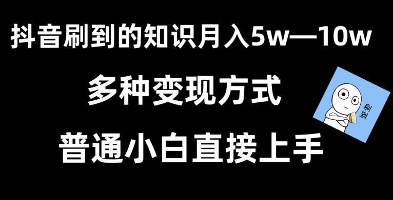 抖音刷到的知识，每天只需2小时，日入2000+，暴力变现，普通小白直接上手【揭秘】-爱找项目网