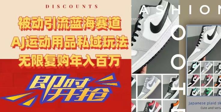 被动引流蓝海赛道，AJ运动用品私域玩法，无限复购年入百万【揭秘】-爱找项目网