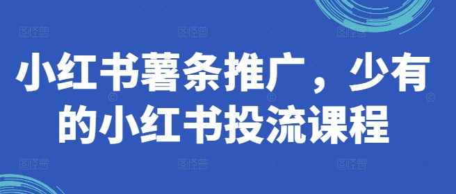 小红书薯条推广，少有的小红书投流课程-爱找项目网
