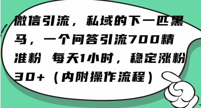 怎么搞精准创业粉？微信新赛道，每天一小时，利用Ai一个问答日引100精准粉-爱找项目网