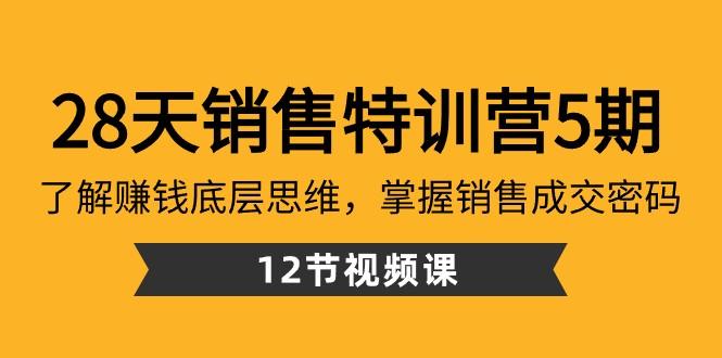 28天销售特训营5期：了解赚钱底层思维，掌握销售成交密码（12节课）-爱找项目网
