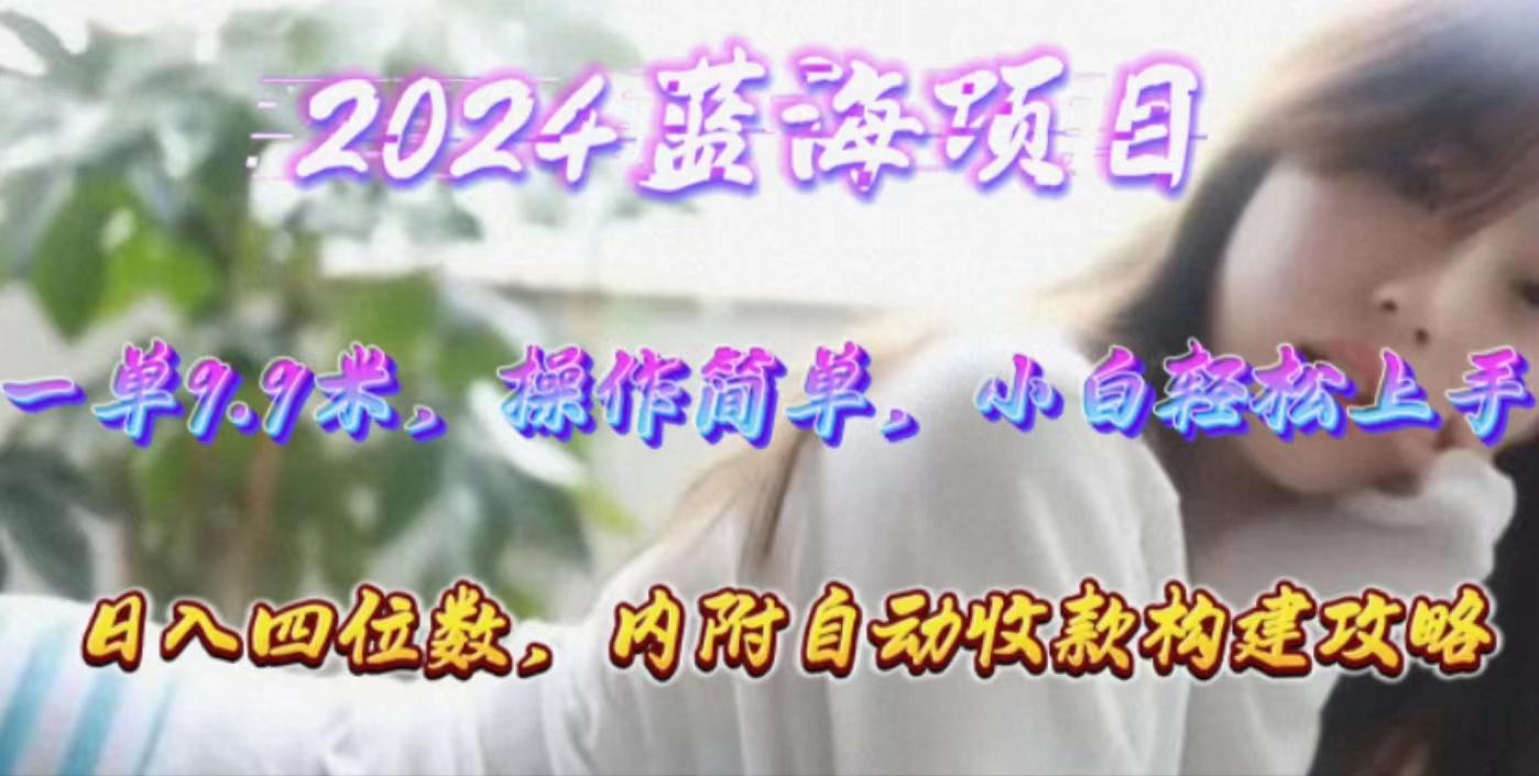 年轻群体的蓝海市场，1单9.9元，操作简单，小白轻松上手，日入四位数-爱找项目网