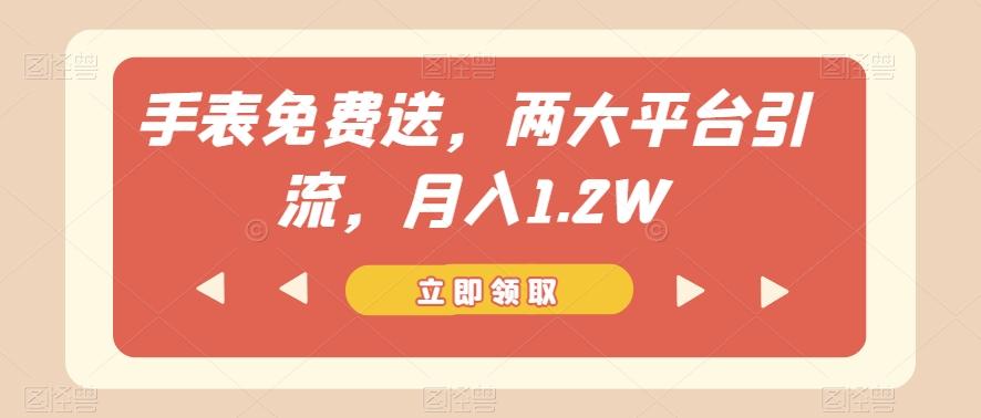 手表免费送，两大平台引流，月入1.2W【揭秘】-爱找项目网
