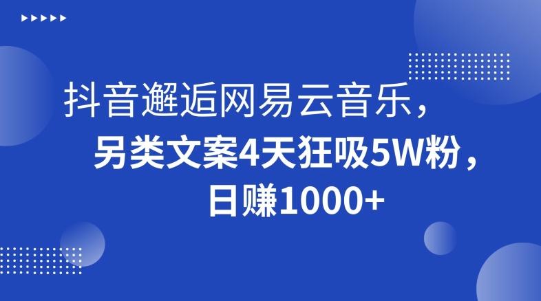 抖音邂逅网易云音乐，另类文案4天狂吸5W粉，日赚1000+【揭秘】-爱找项目网