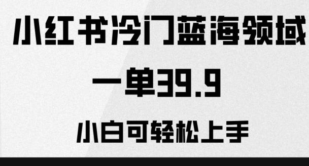 小红书冷门蓝海领域，一单39.9，小白可轻松上手-爱找项目网
