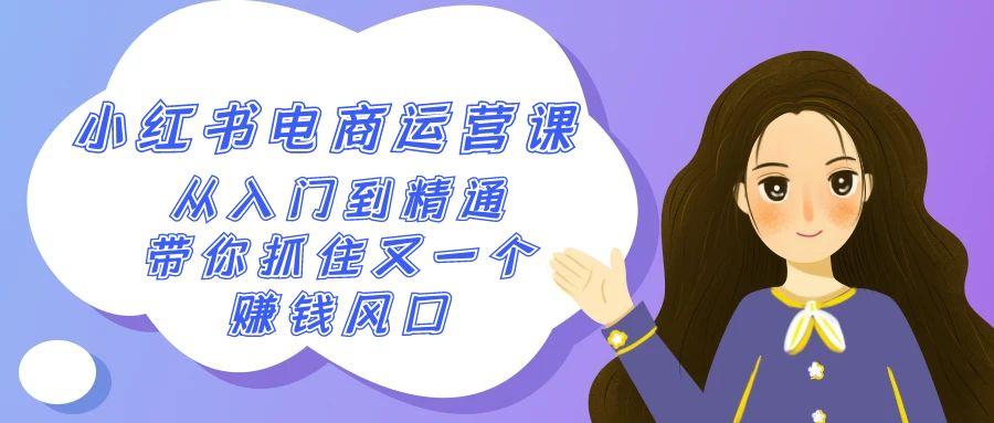 2024小红书电商运营课，从入门到精通，带你抓住又一个赚钱风口(50节课)-爱找项目网
