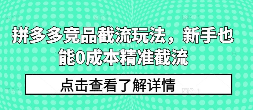 拼多多竞品截流玩法，新手也能0成本精准截流-爱找项目网