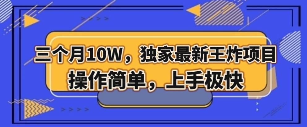 三个月10W，独家最新王炸项目！操作简单，上手极快【揭秘】-爱找项目网