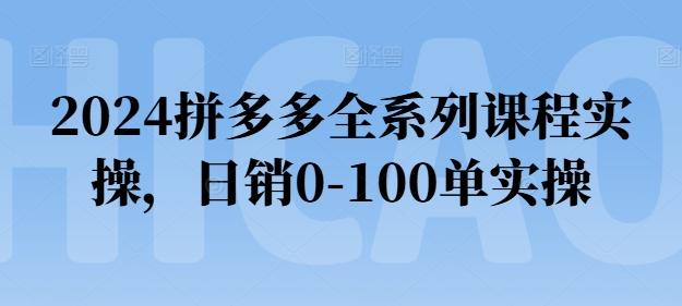 2024拼多多全系列课程实操，日销0-100单实操【必看】-爱找项目网