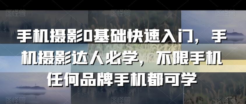 手机摄影0基础快速入门，手机摄影达人必学，不限手机任何品牌手机都可学-爱找项目网