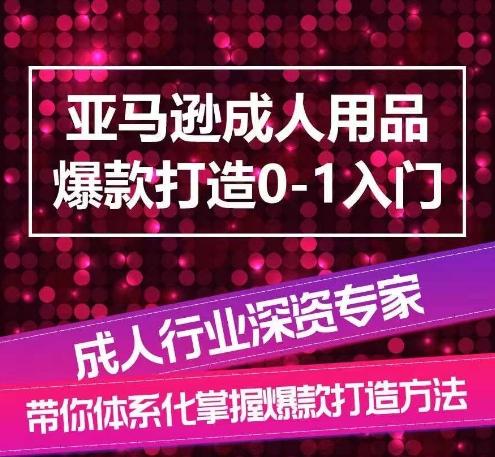 亚马逊成人用品爆款打造0-1入门，系统化讲解亚马逊成人用品爆款打造的流程-爱找项目网