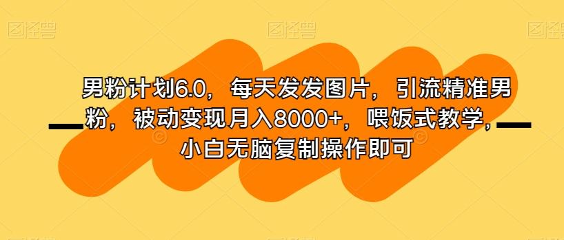 男粉计划6.0，每天发发图片，引流精准男粉，被动变现月入8000+，喂饭式教学，小白无脑复制操作即可-爱找项目网