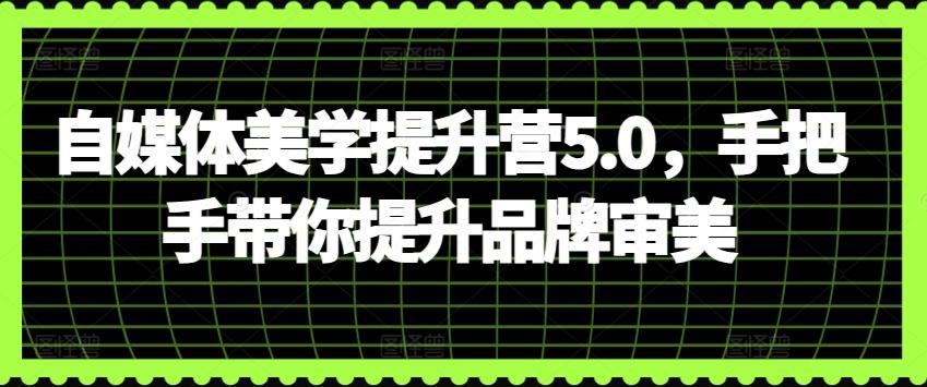 自媒体美学提升营5.0，手把手带你提升品牌审美-爱找项目网