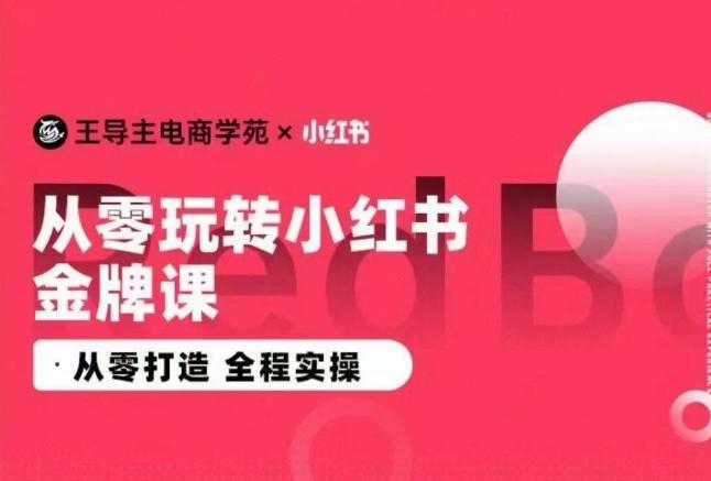 王导主·小红书电商运营实操课，​从零打造  全程实操-爱找项目网