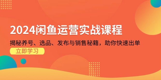 2024闲鱼运营实战课程：揭秘养号、选品、发布与销售秘籍，助你快速出单-爱找项目网