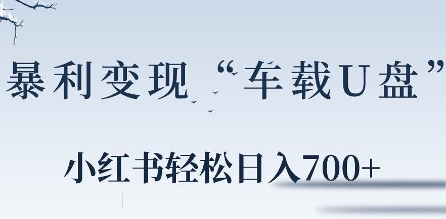 小红书“车载U盘”暴利引流，日入700+-爱找项目网