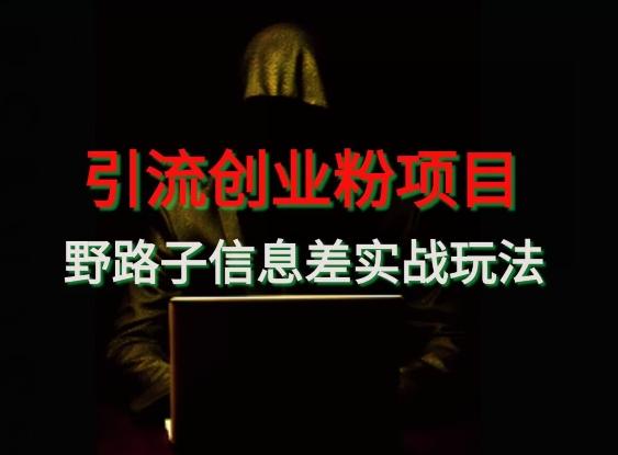 【引流创业粉】野路子信息差玩法实战教学-爱找项目网