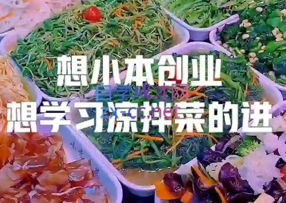 李记·精品凉拌菜系列热卤系列教程-爱找项目网